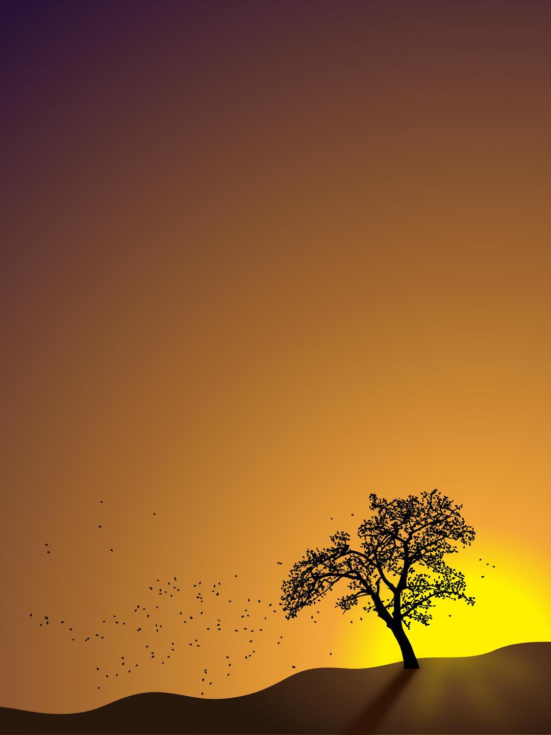 Tree in Sunset png transparent