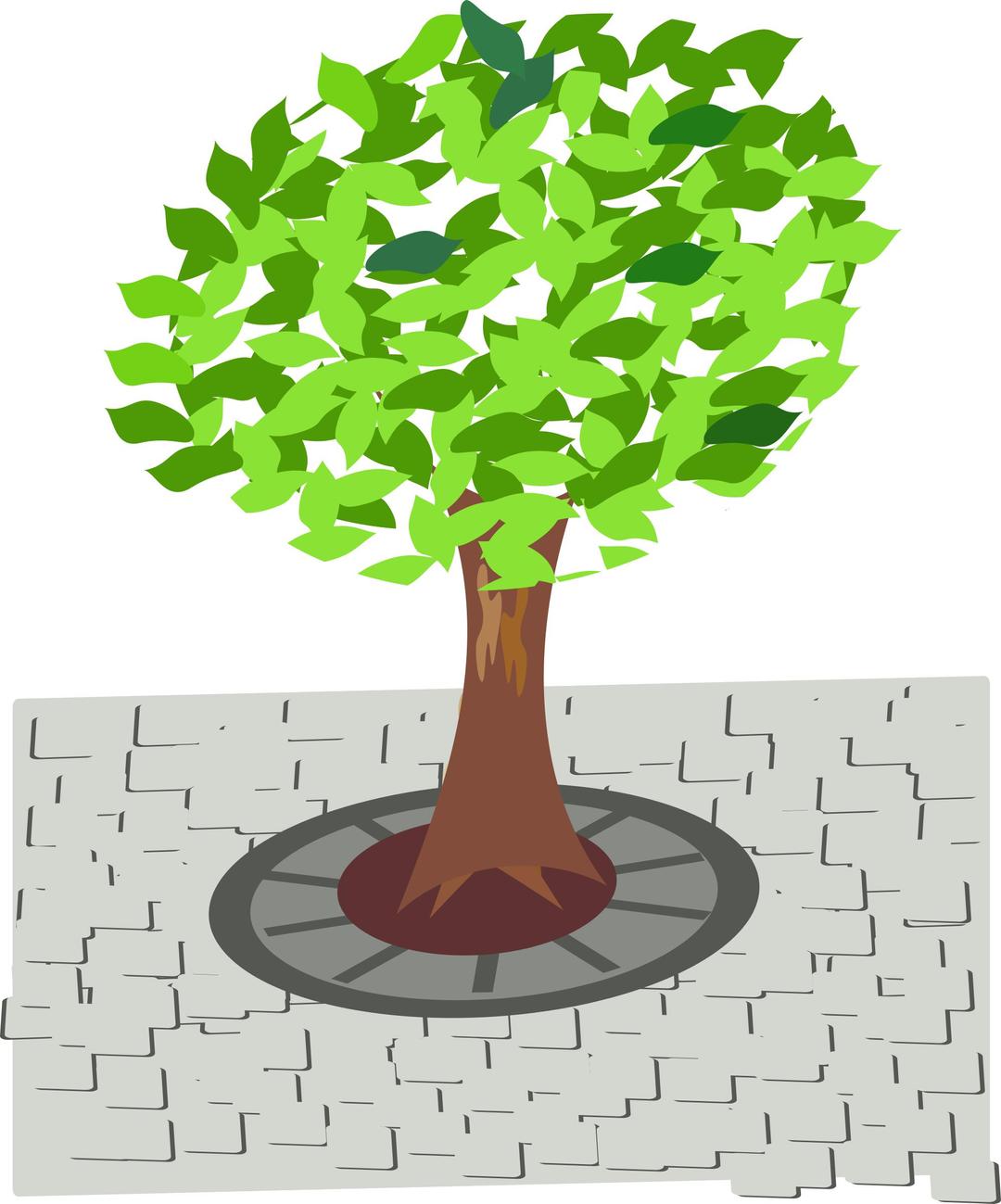 tree in the street png transparent