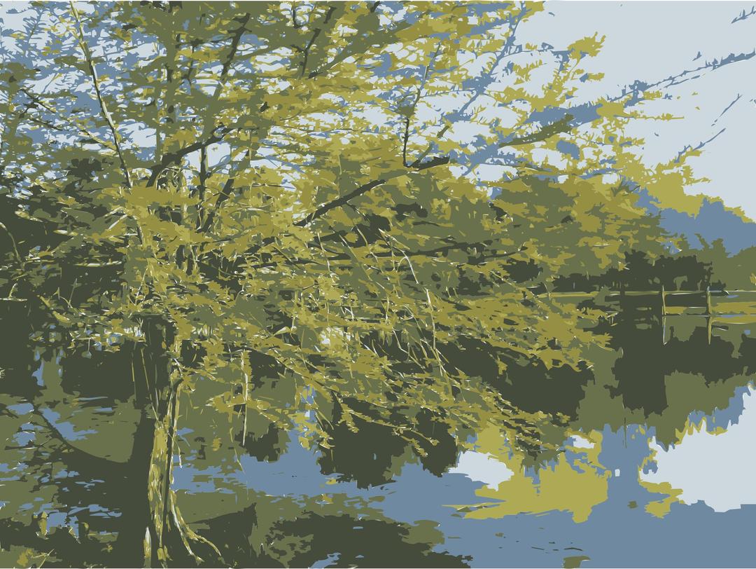 Tree Over Pond png transparent