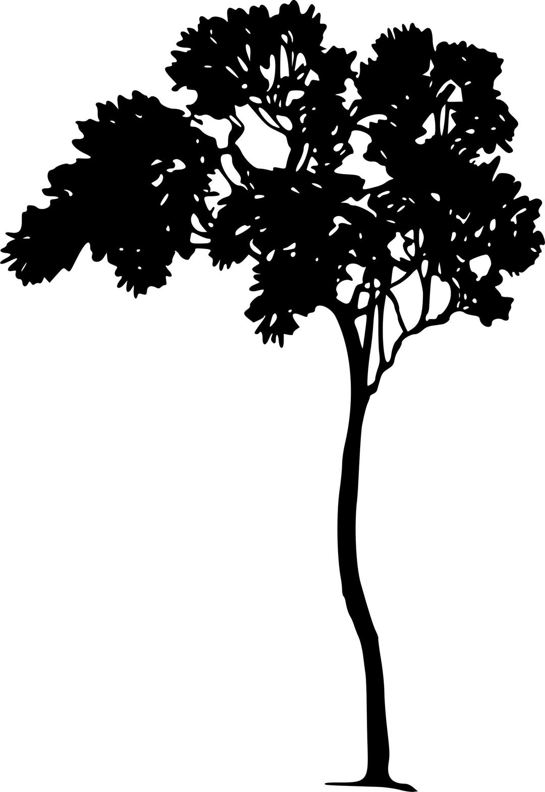 Tree Silhouette png transparent