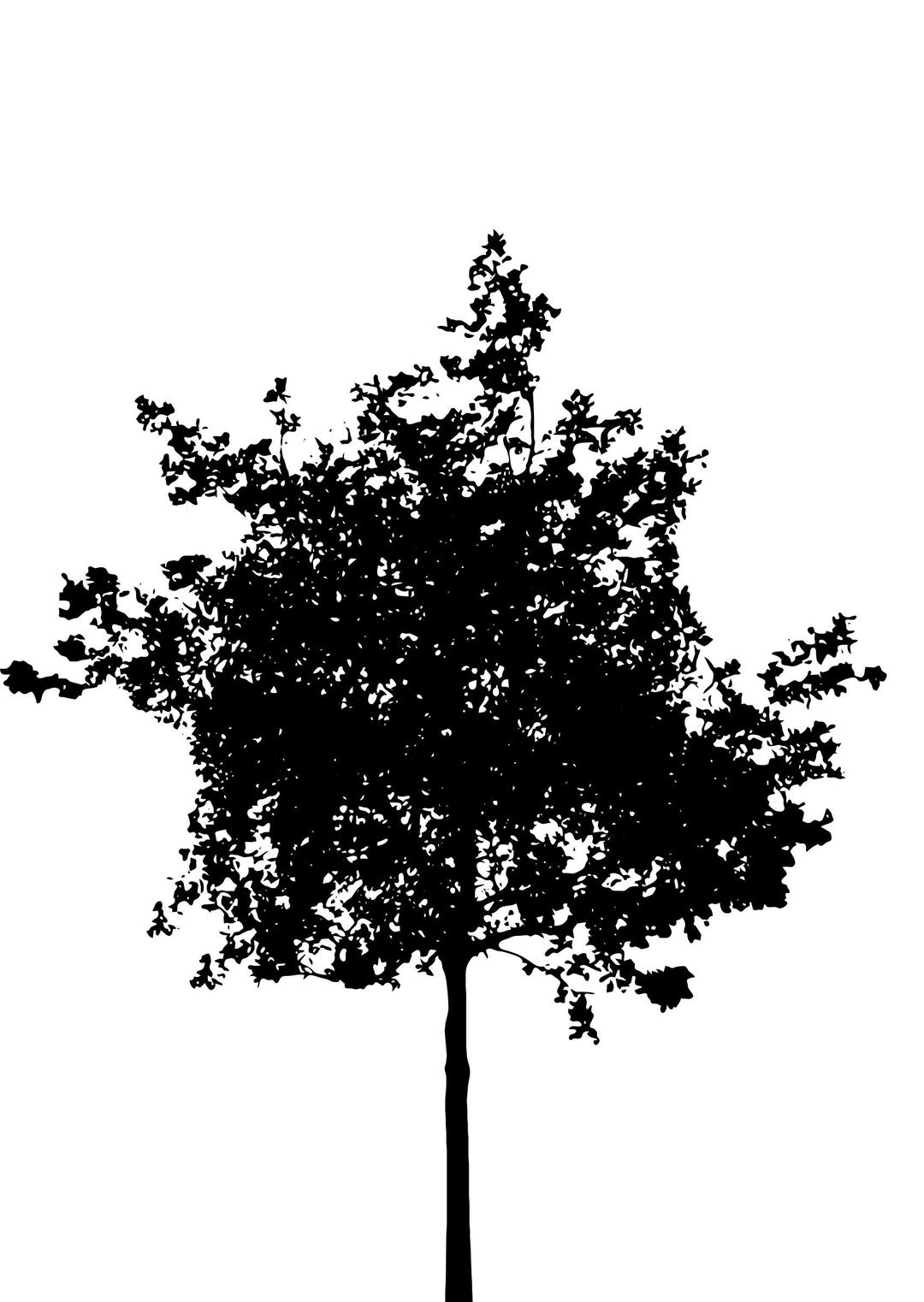 tree silhouette 10 png transparent