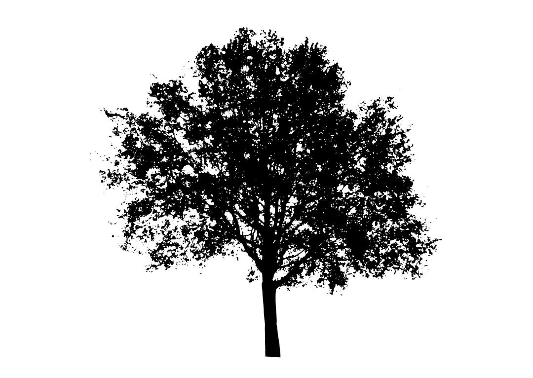 tree silhouette 5 png transparent