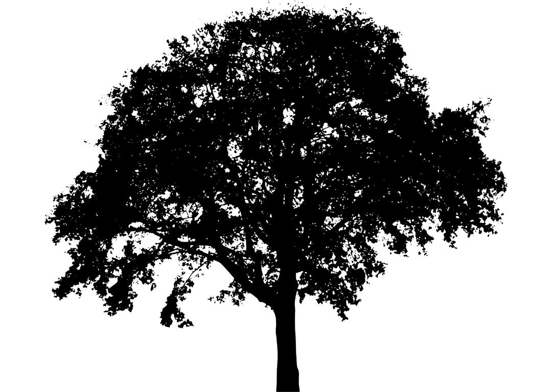 tree silhouette 6 png transparent