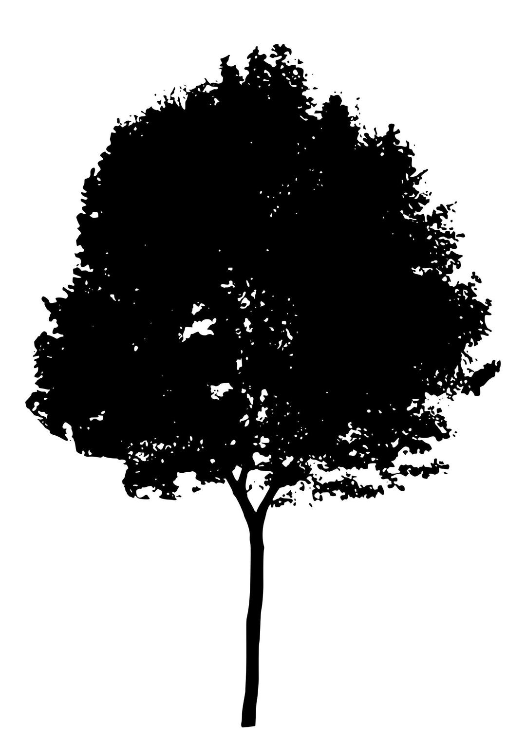 tree silhouette 7 png transparent
