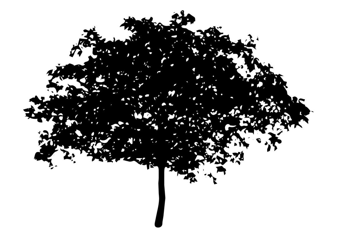 tree silhouette 8 png transparent