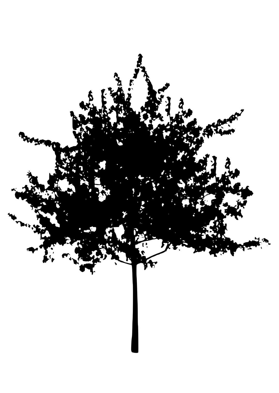 tree silhouette 9 png transparent