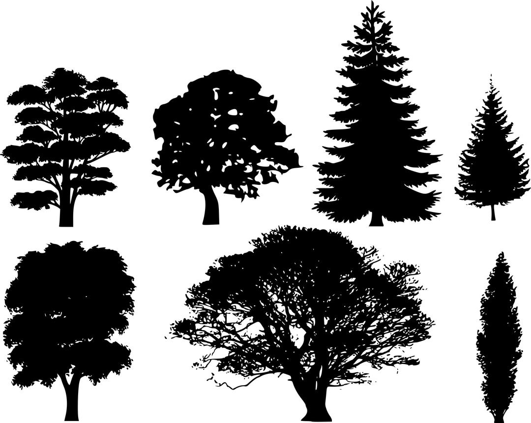 Tree silhouettes png transparent