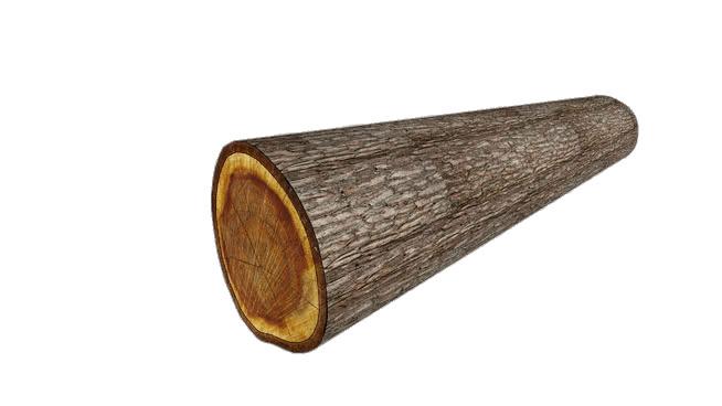 Tree Trunk With Visible Cross Section png transparent