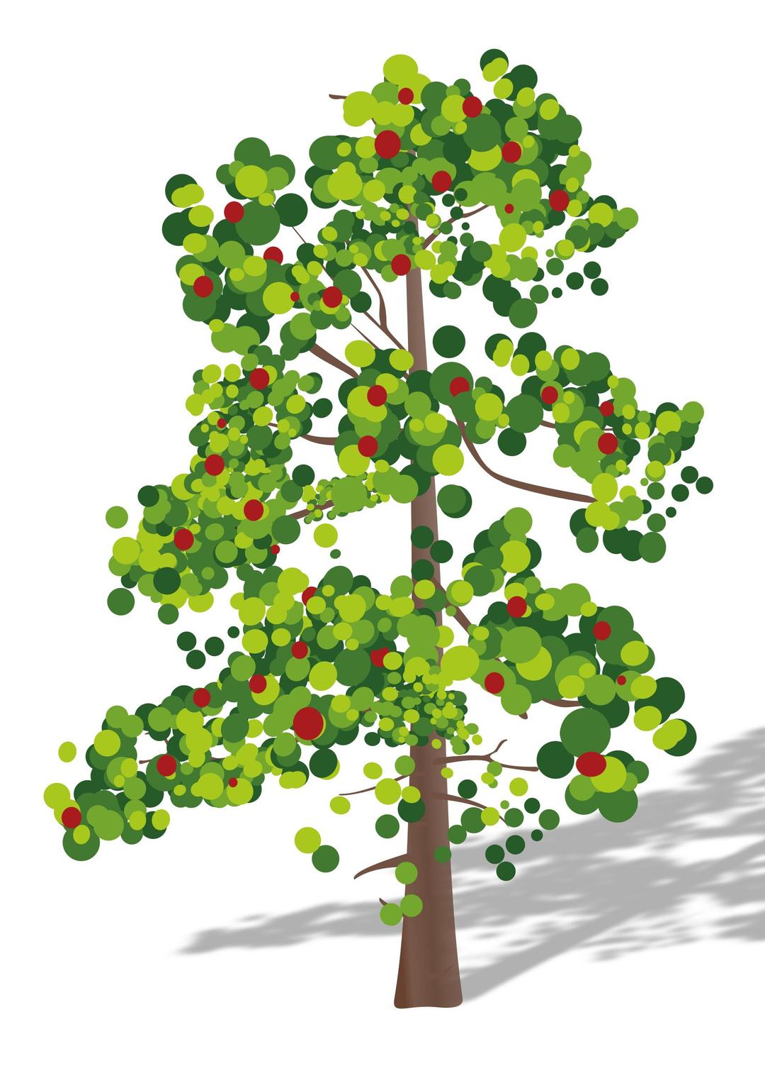 Tree with flowers png transparent