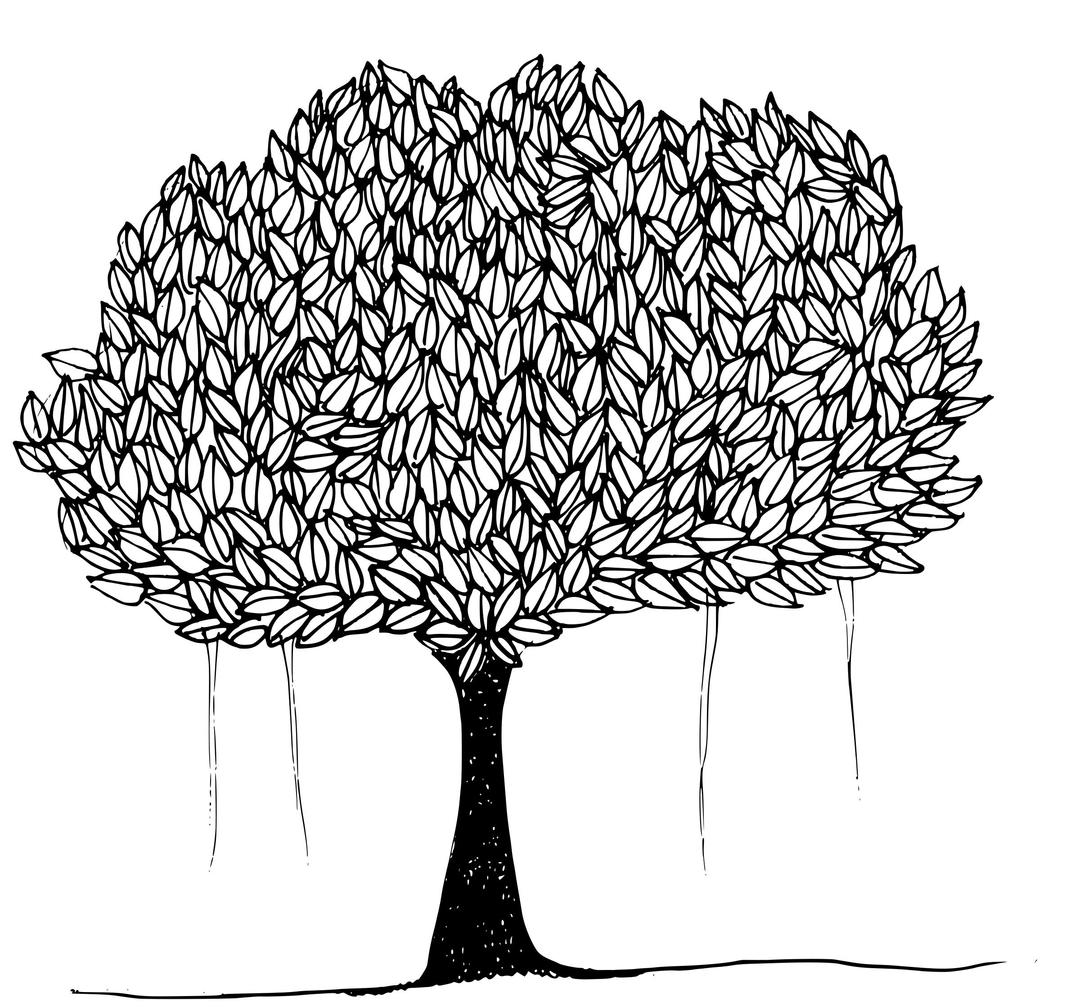 tree with leaves png transparent