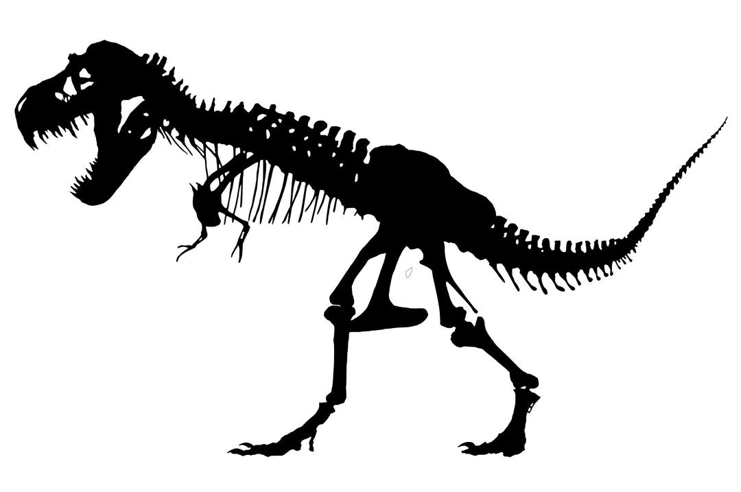 T-Rex Skeleton png transparent