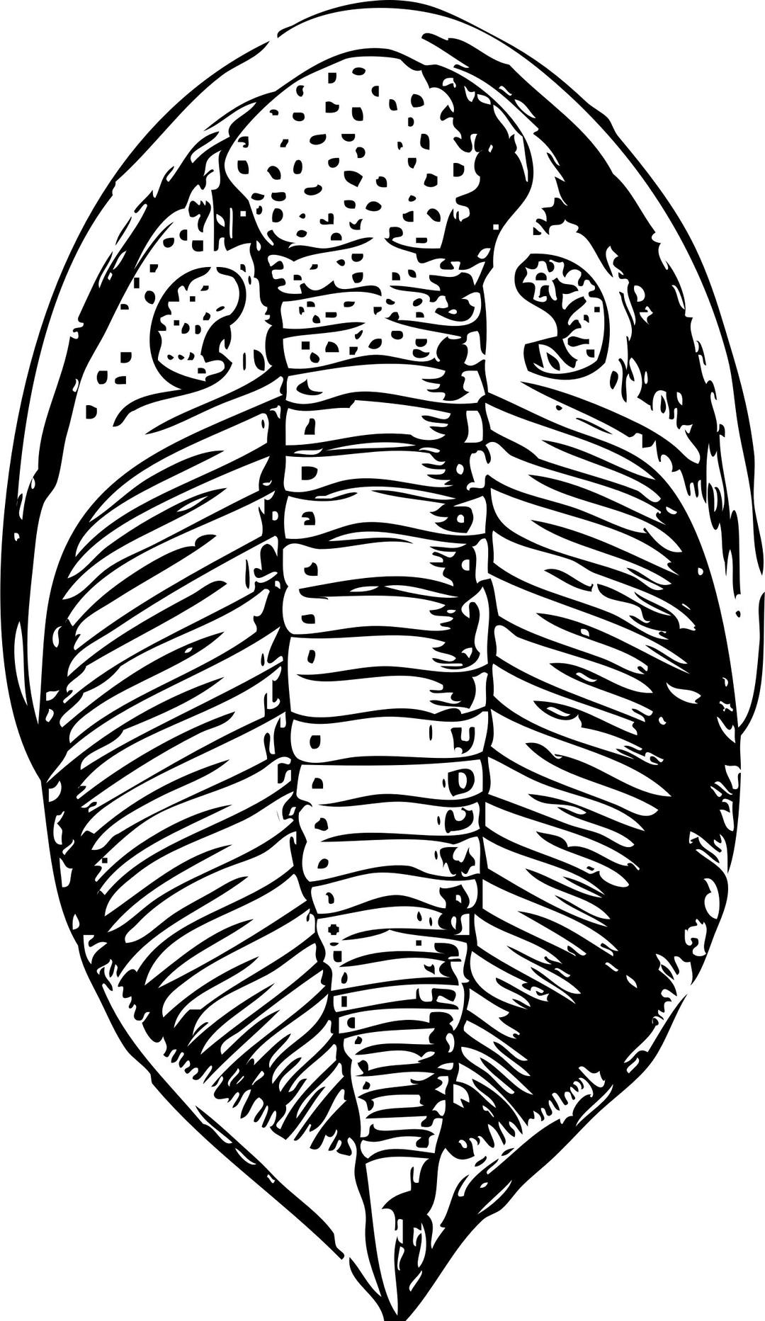 Trilobite png transparent