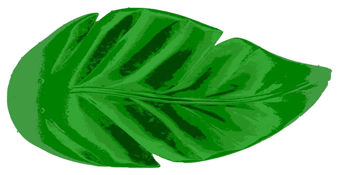 Tropical Leaf png transparent
