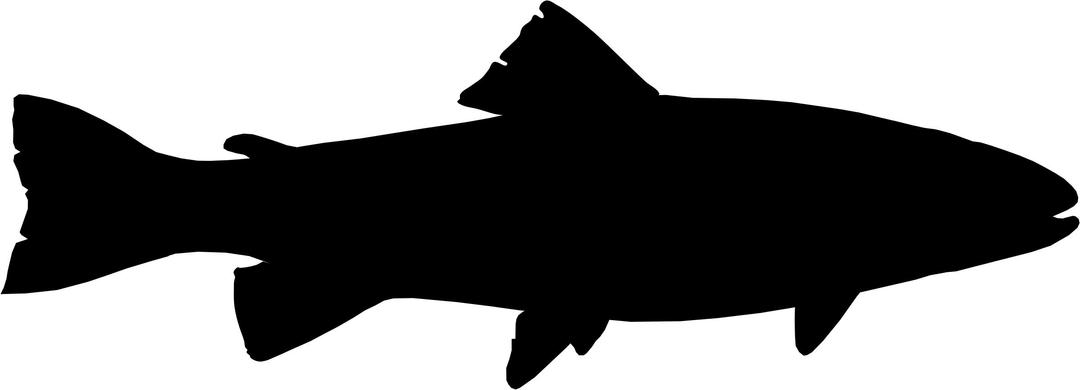 trout silhouette png transparent