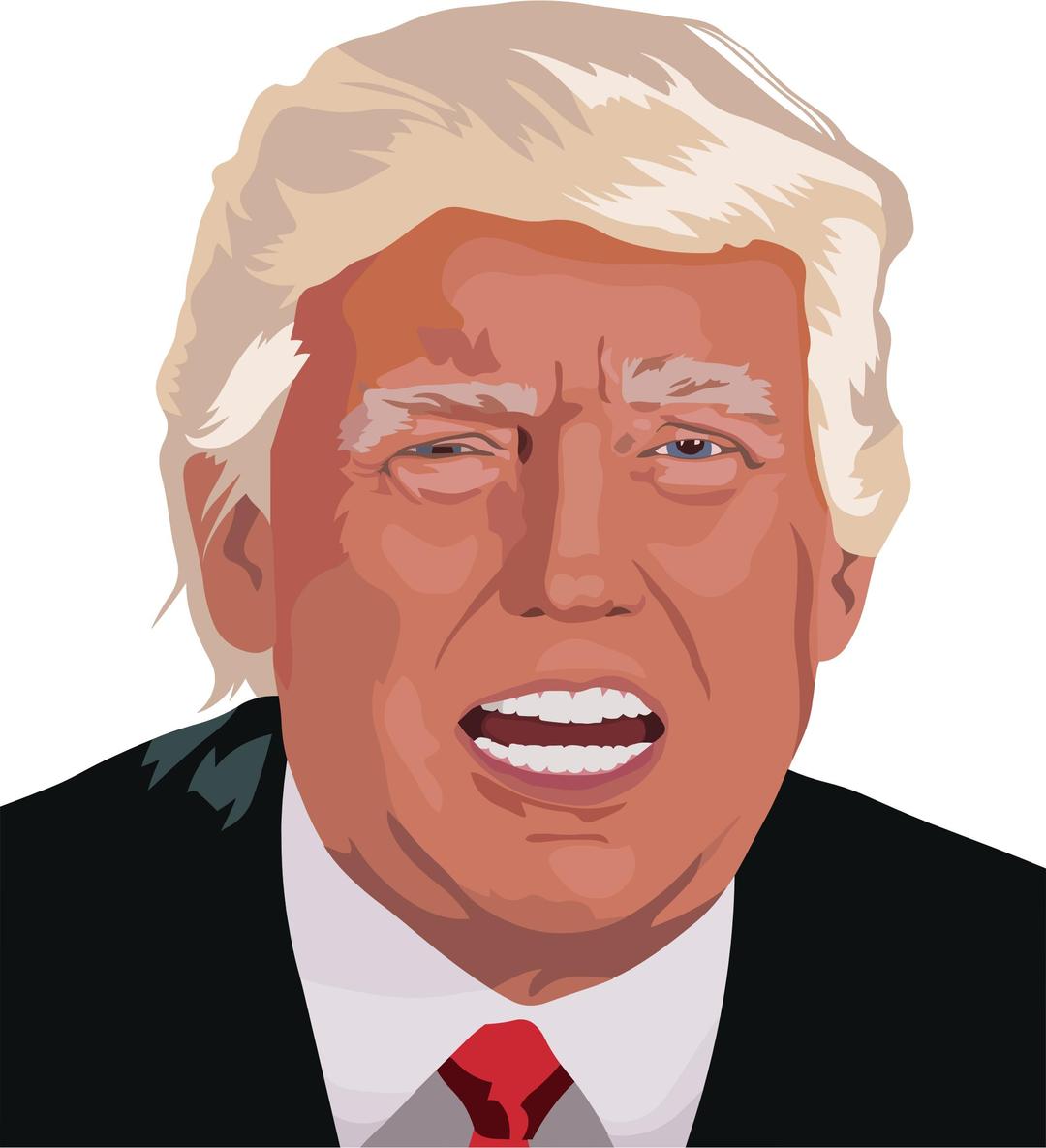 Trump Portrait 2 By Heblo png transparent