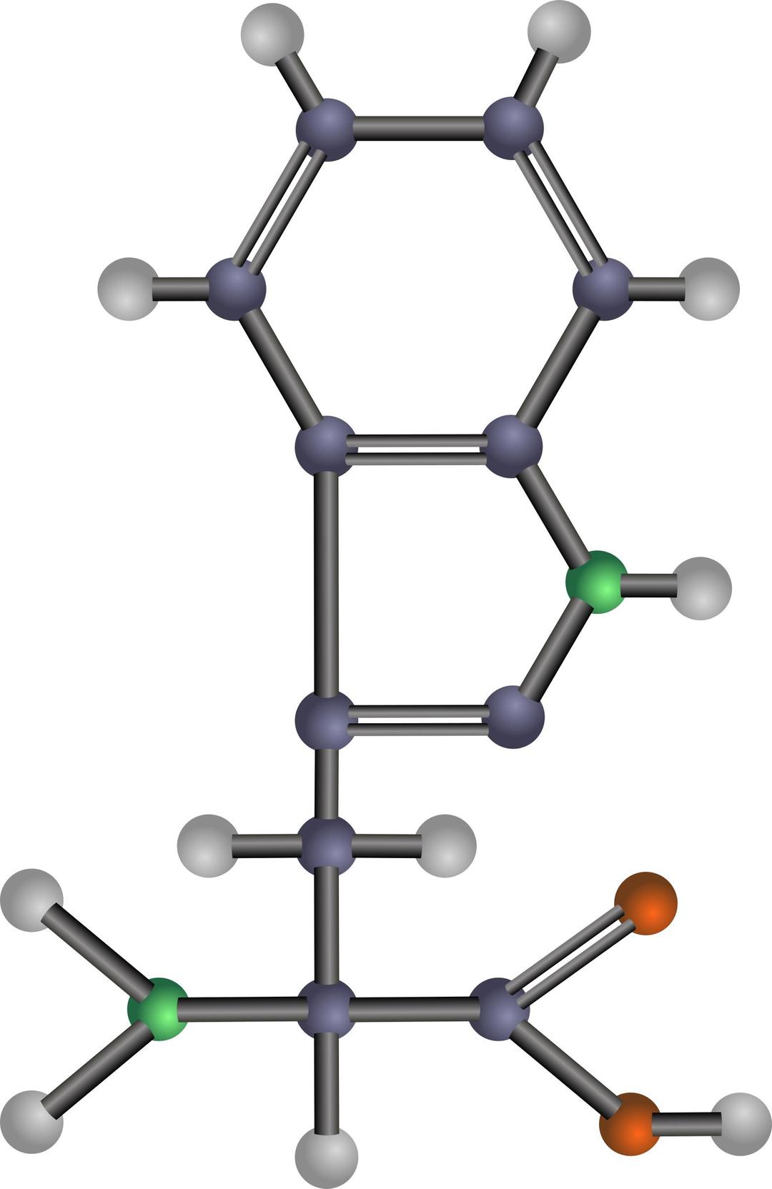 Tryptophan (amino acid) png transparent