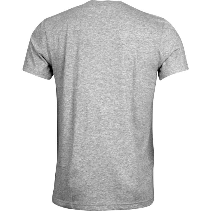 Tshirt Grey Back png transparent