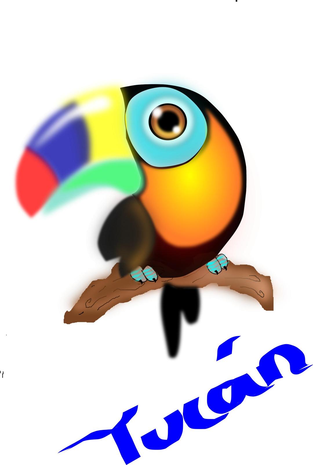 tucan colombiano png transparent