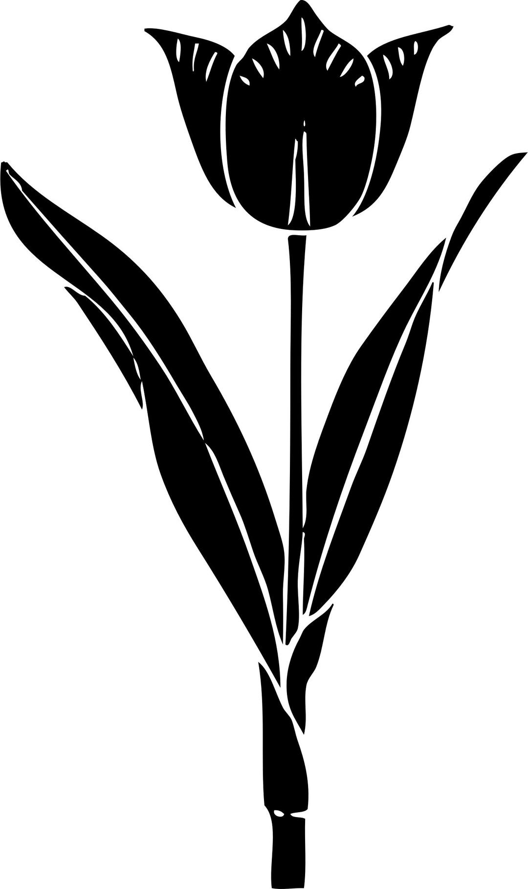 tulip silhouette png transparent