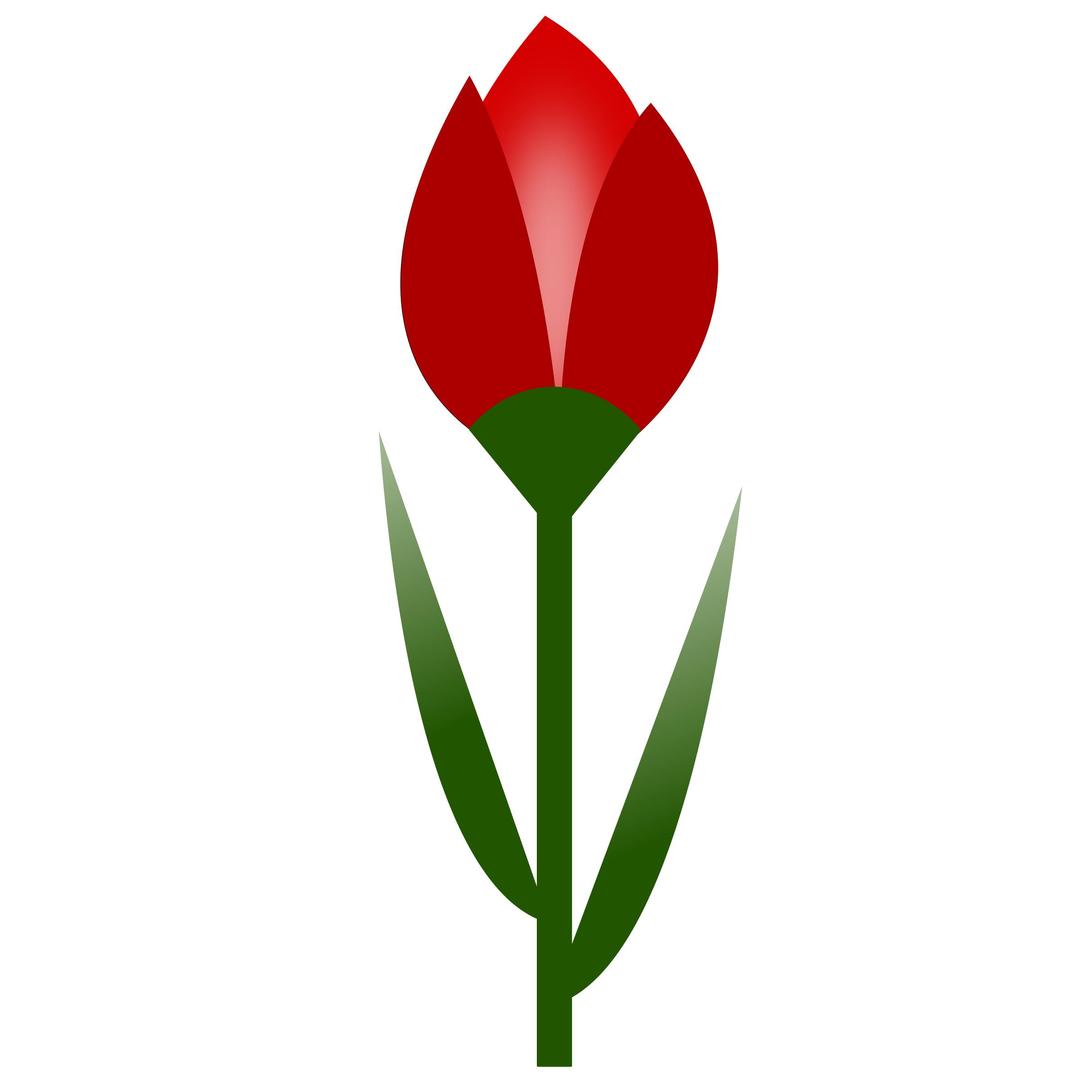 TULIP Simple Red Flower- 3-color- with slight glow png transparent