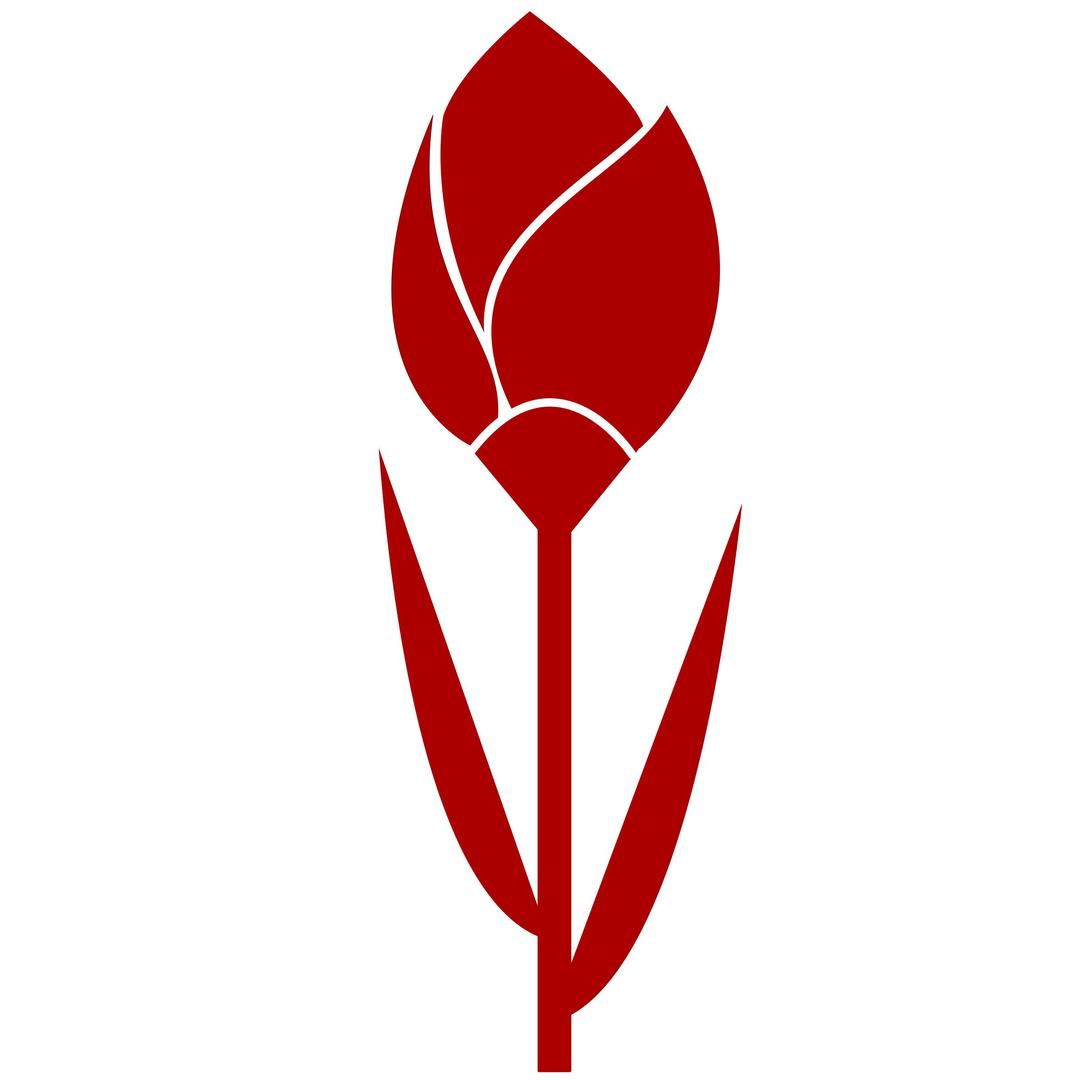 TULIP Simple Red Flower- remixed, one color. png transparent