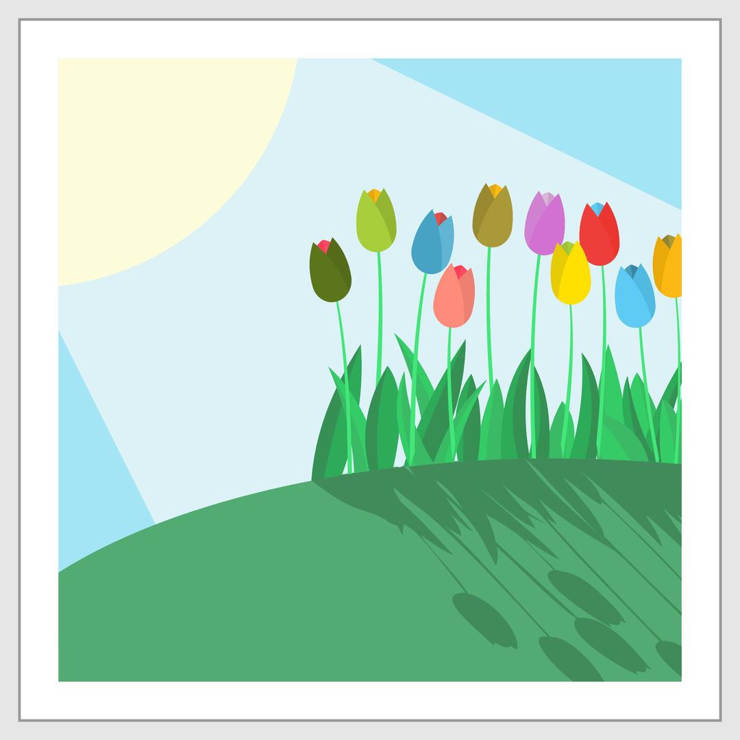 Tulips on a Hill png transparent