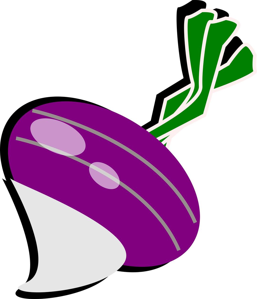 Turnip png transparent
