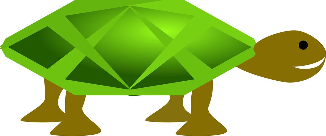 Turtle png transparent