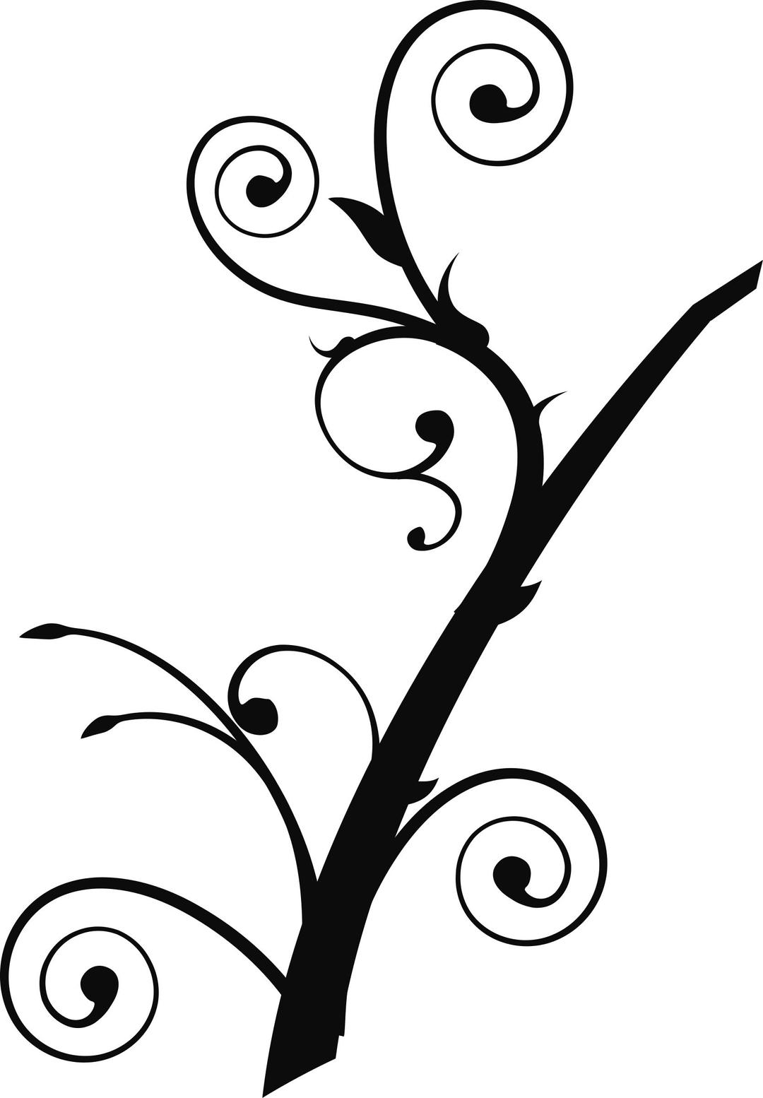 Twisted Branch 2 png transparent