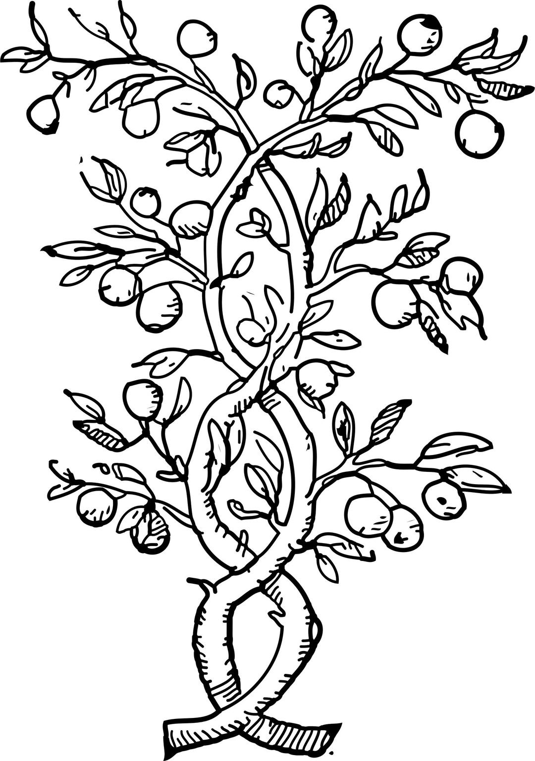 twisted branches png transparent