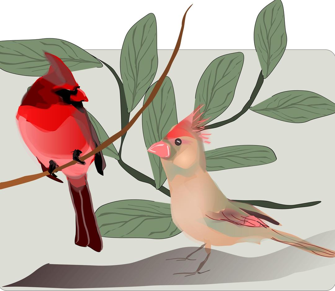 Two Birds png transparent