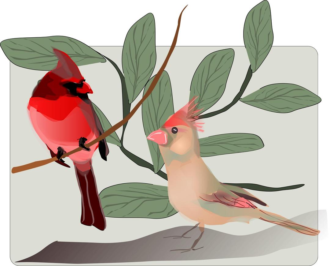 Two Birds Background png transparent