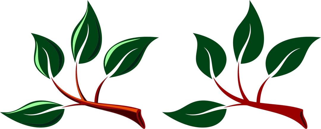 Two Branches With Leaves png transparent