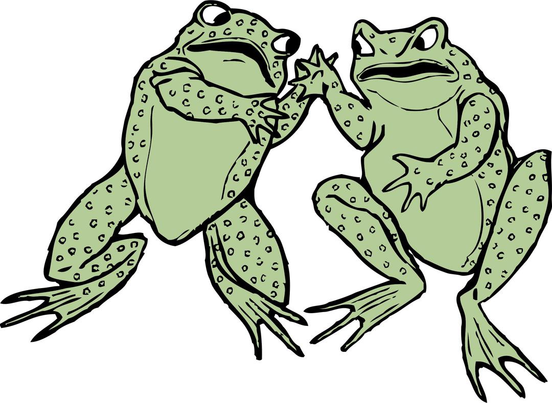 two frogs png transparent
