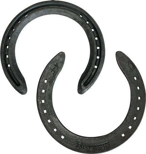 Two Horseshoes png transparent