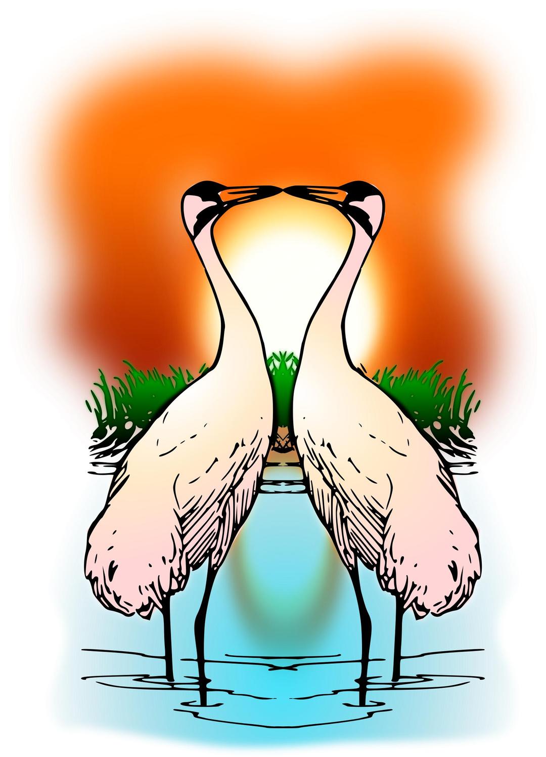 Two Love Whooping Crane png transparent