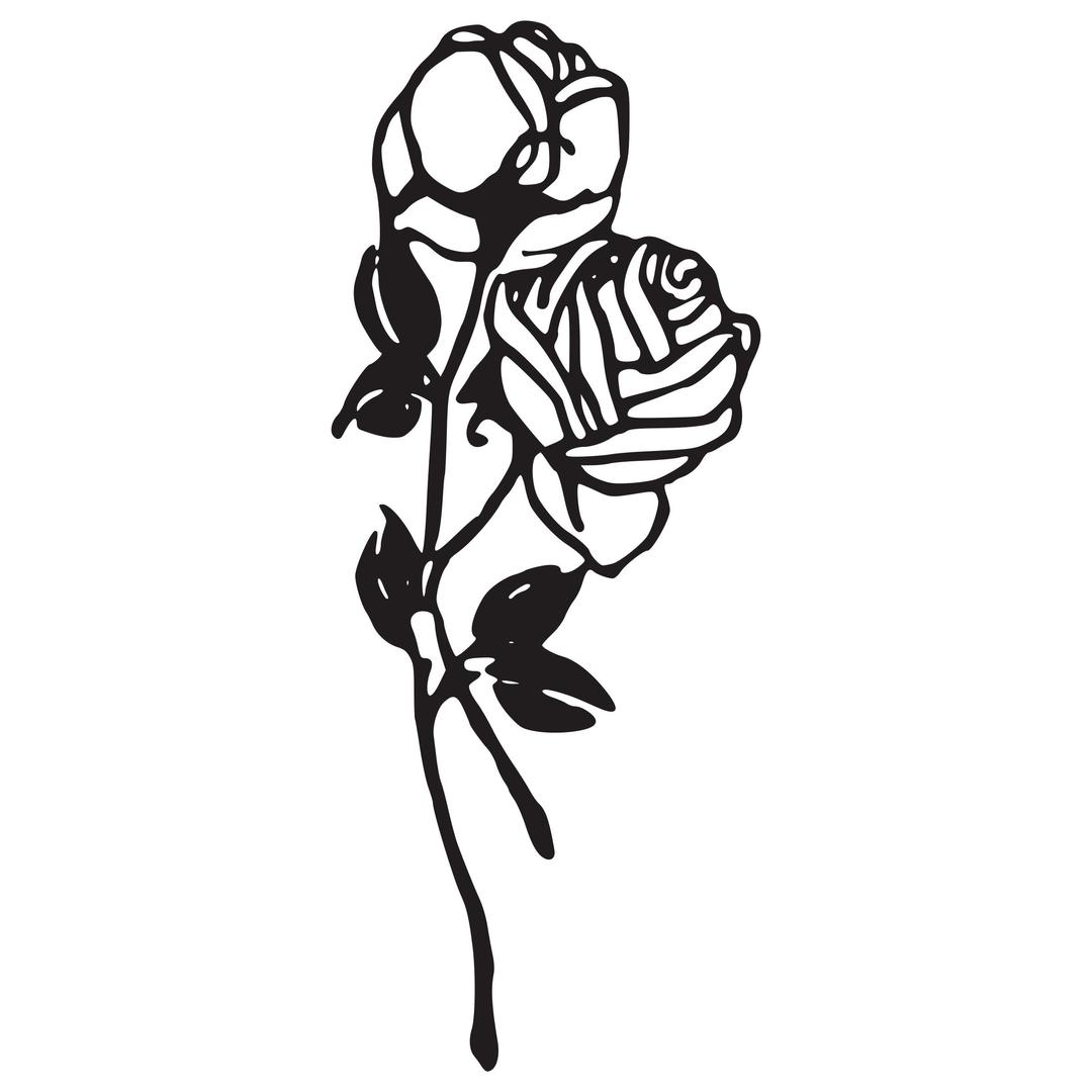 Two Roses png transparent