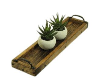 Two Succulent Plants on Wooden Tray png transparent
