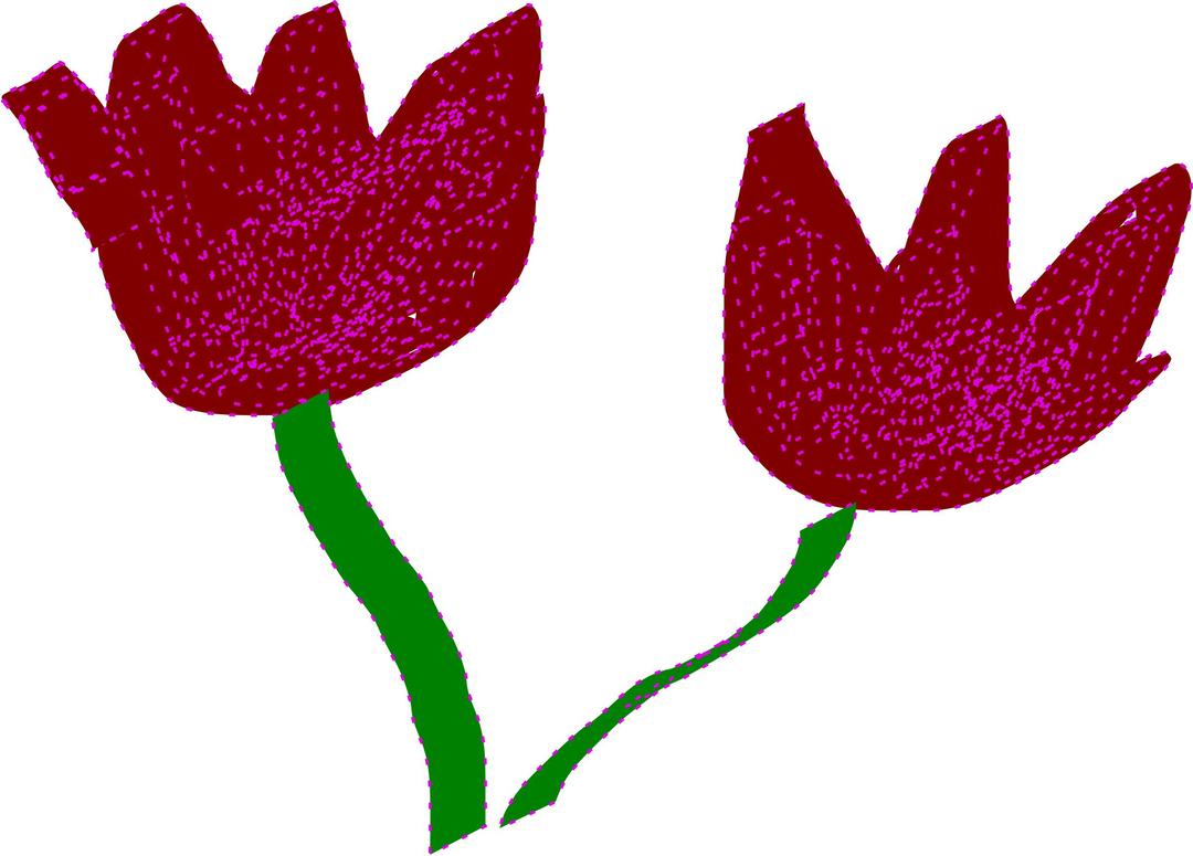 two tulips png transparent