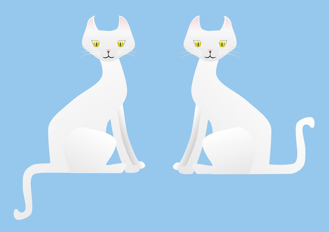 Two white cats png transparent