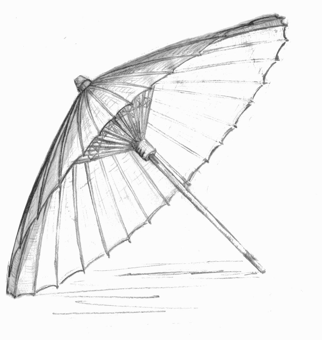 Umbrella Sketch png transparent