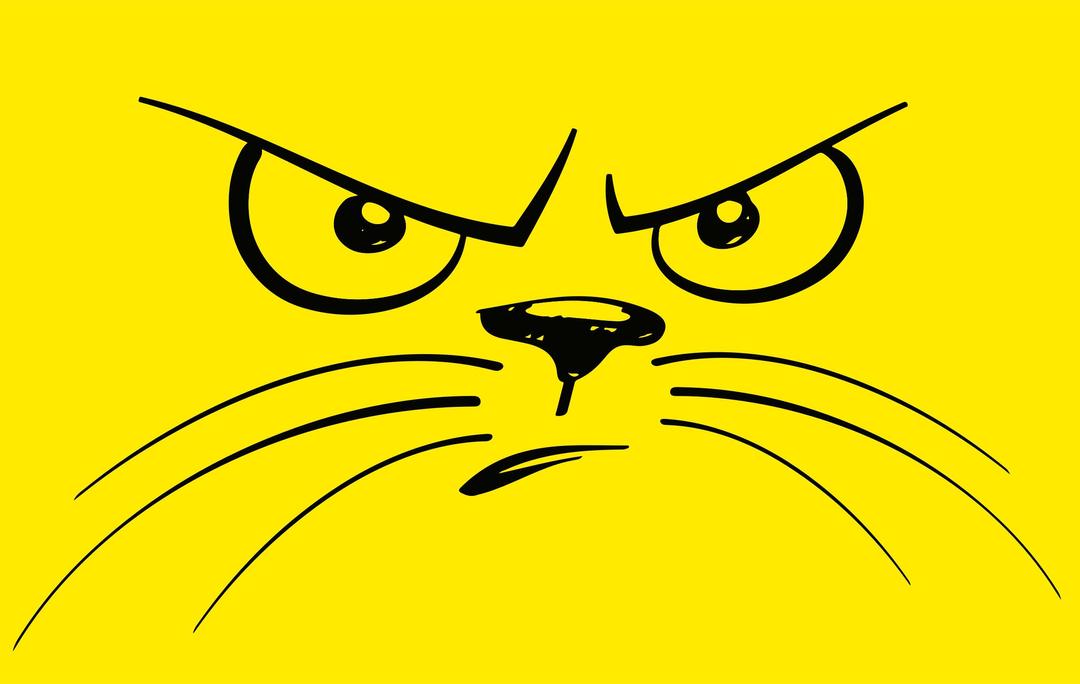 Unhappy Cat Face png transparent
