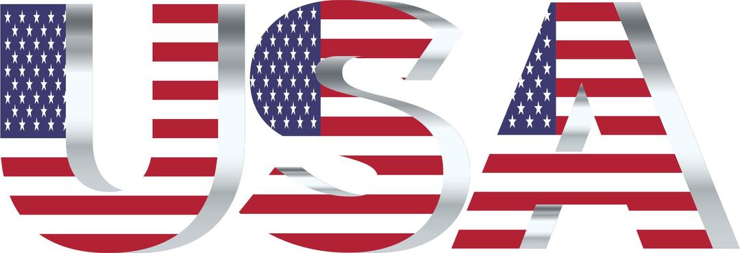 USA Flag Typography Silver No Background png transparent