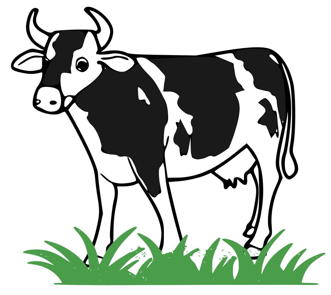 Vaca enfrente png transparent