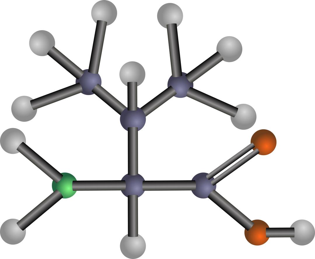 Valine (amino acid) png transparent