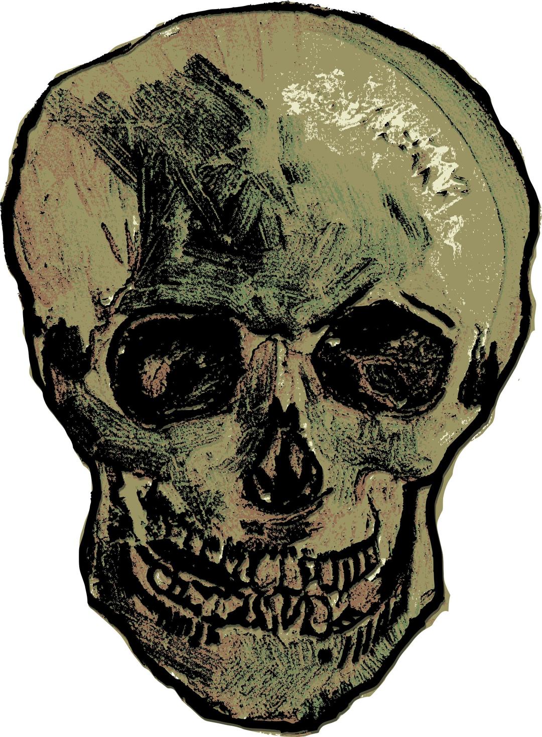 Van Gogh Skull png transparent