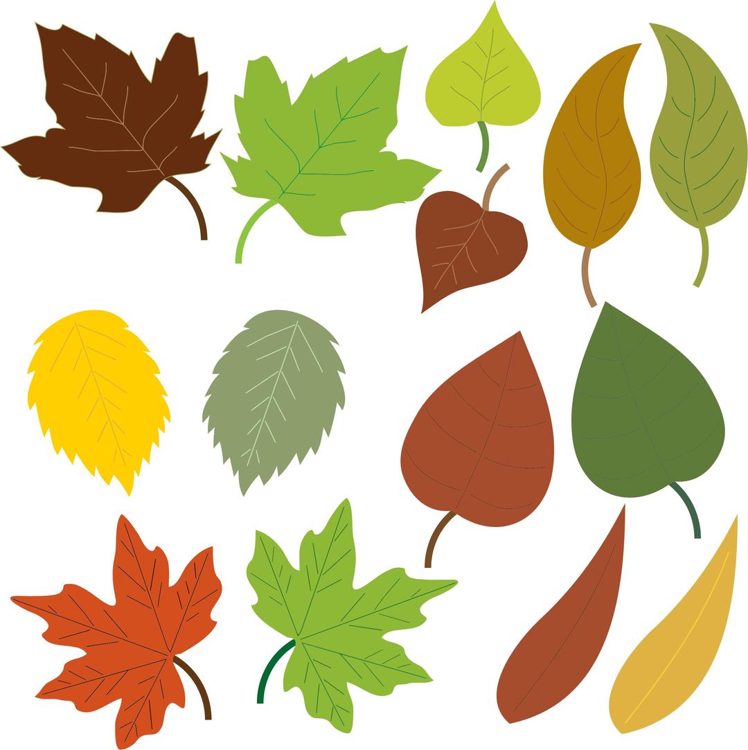Variety Of Leaves png transparent