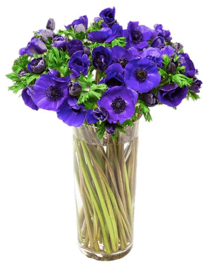 Vase Of Purple Anemones png transparent