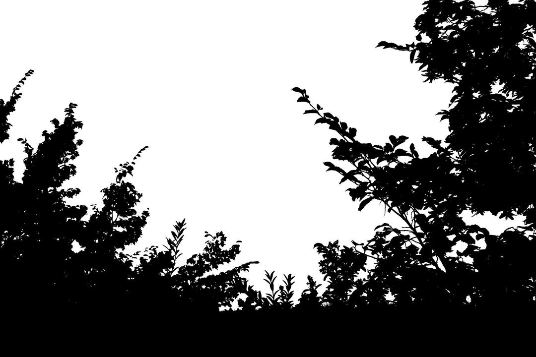 Vegetation Silhouette 2 png transparent