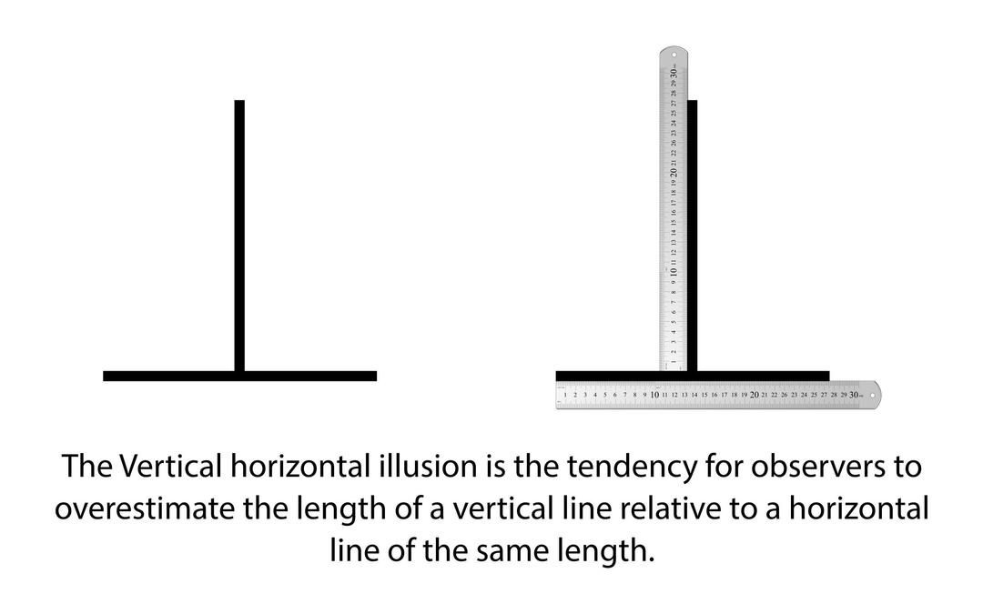 Vertical Horiztonal Illusion png transparent
